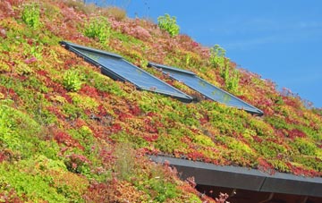 Offenham living roof systems